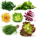 Salad collage on white background Royalty Free Stock Photo