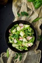 Fresh salad of cucumbers, radishes, green peas and herbs. Royalty Free Stock Photo