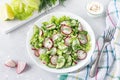 Fresh salad of cucumbers, radishes, green peas and herbs in white bowl Royalty Free Stock Photo