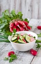 Fresh salad of cucumbers and radishes Royalty Free Stock Photo