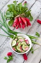 Fresh salad of cucumbers and radishes Royalty Free Stock Photo