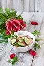 Fresh salad of cucumbers and radishes Royalty Free Stock Photo