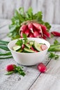 Fresh salad of cucumbers and radishes Royalty Free Stock Photo