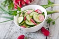 Fresh salad of cucumbers and radishes Royalty Free Stock Photo