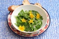 Salad of dandelion Royalty Free Stock Photo