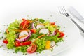 Fresh salad Royalty Free Stock Photo