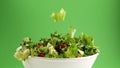 Fresh salad falling in bowl on green background, 240 fps slow motion