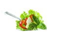 Fresh Salad Food Styling Royalty Free Stock Photo