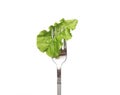 Fresh salad on a fork. Isolated. Concept of healthy diet and clean eating, balanced nutrition, weight loss. Vegetables on a fork. Royalty Free Stock Photo