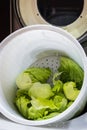 salad green lies in the colander for washing