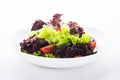Fresh salad with green and purple lettuce, tomatoes and cucumbers on white wooden background close up.