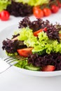 Fresh salad with green and purple lettuce, tomatoes and cucumbers on white wooden background close up. Royalty Free Stock Photo