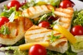 Fresh salad with grilled halloumi cheese with vegetables closeup at the plate. horizontal Royalty Free Stock Photo