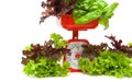 Fresh salad and kitchen scales close up on a white background Royalty Free Stock Photo