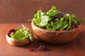 Fresh salad leaves in bowl: spinach, mangold, ruccola