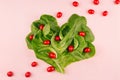 Fresh salad leaves and red cherry tomatoes as heart on pink background. Healthy dieting spring food. Royalty Free Stock Photo