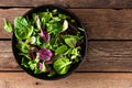 Fresh salad mix of baby spinach, arugula leaves, basil and chard Royalty Free Stock Photo