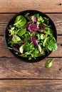 Fresh salad mix of baby spinach, arugula leaves, basil and chard Royalty Free Stock Photo