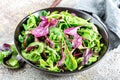 Fresh salad mix of baby spinach, arugula leaves, basil, chard and lambs lettuce Royalty Free Stock Photo