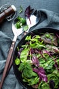 Fresh salad mix Royalty Free Stock Photo