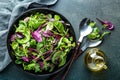 Fresh salad mix Royalty Free Stock Photo