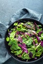 Fresh salad mix Royalty Free Stock Photo