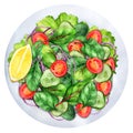 Fresh salad mix with cherry tomatoes and cucumbers 2 Royalty Free Stock Photo