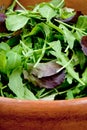 Fresh salad mix in wooden bowl Royalty Free Stock Photo