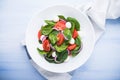 Fresh salad with mozzarella cheese, tomato, spinach and purple onion on blue wooden background top view Royalty Free Stock Photo