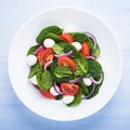 Fresh salad with mozzarella cheese, tomato, spinach and purple onion on blue wooden background top view Royalty Free Stock Photo