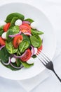 Fresh salad with mozzarella cheese, tomato, spinach and purple onion on white background top view Royalty Free Stock Photo