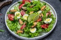 Fresh salad with mussels, quail, egg, conjugate, lime, spinach, lettuce, cherry tomatoes and microgreen. Dietary salad. banner,