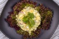 Fresh salad from a radish, green onion, potato, cucumber and boiled egg with mayonnaise on lettuce leaves. Top view Royalty Free Stock Photo