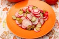 A fresh salad red radish with green cucumber Royalty Free Stock Photo