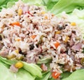 A fresh salad with rice, vegetables and tuna Royalty Free Stock Photo