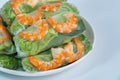 Fresh salad shrimp wrapped rolls- Goi Cuon, Vietnamese cuisine