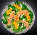 Fresh salad with sliced of marinated salmon and orange fruit Royalty Free Stock Photo