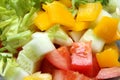 Fresh salad with tomato, cucumber, poivron and verdure Royalty Free Stock Photo