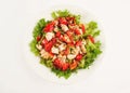 fresh salad with tomato salad and meat Royalty Free Stock Photo