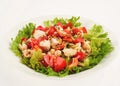 fresh salad with tomato salad and meat