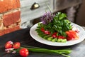 Fresh salad of tomatoes, cucumbers, peppers, arugula and dill jpg Royalty Free Stock Photo