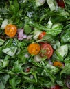 Fresh salad with tomatoes, rucola and cucumbers