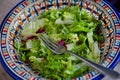 Fresh salad. Vegetable salad in colorful plate. Spring greens and leaves with olive oil