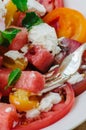 Fresh salad with water-melon, tomatoes, feta cheese and mint Royalty Free Stock Photo