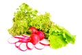 Fresh salad , whole and sliced radish