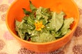 Salad of dandelion with flowers