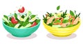 Fresh Salads in Bowl with Green Vegetables and Meat Slabs Vector Set