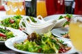Fresh salads on the plates and sause Royalty Free Stock Photo