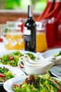 Fresh salads on the plates and sause Royalty Free Stock Photo