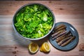 Fresh salat bowl with clams Royalty Free Stock Photo